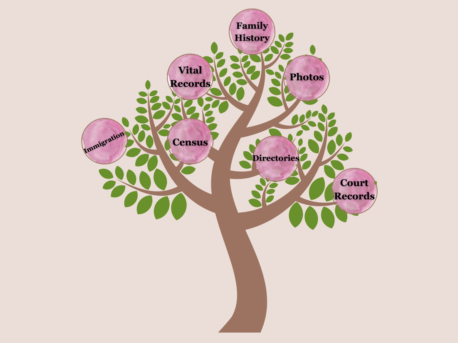 Ancestry