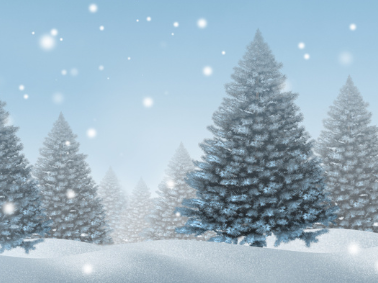 Holiday Closure