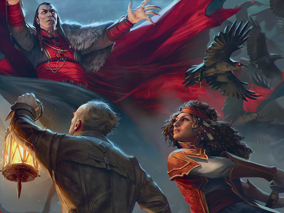 D & D